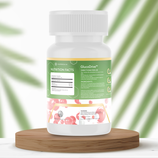 GlucoDrive - Image 3